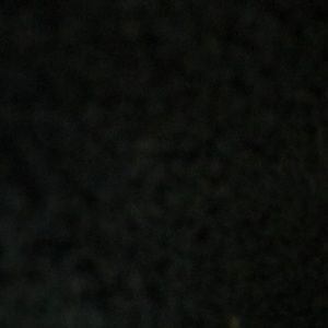 Meet your Posher, Kendall